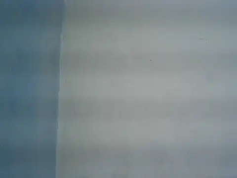 michel1520 online show from April 8, 2026, 11:01 am