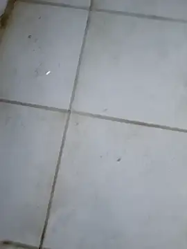 sexodoll1990 online show from February 16, 2026, 1:59 am