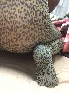 Skywalker69949 online show from February 6, 2025, 2:55 am