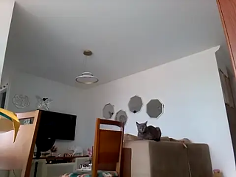 Snapshot of Munnoki chatting on March 1, 2026, 10:37 am Munnoki online show from March 1, 2026, 10:37 am