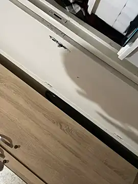 chikhamaisaa online show from February 11, 2025, 9:03 pm