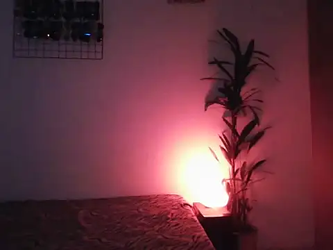lollaxjf online show from May 31, 2026, 4:07 am