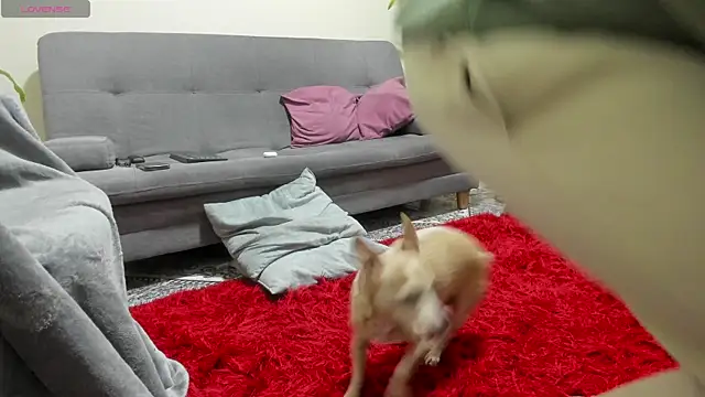 Snapshot of Salvatore_costa chatting on September 19, 2025, 12:36 am Salvatore costa online show from September 19, 2025, 12:36 am