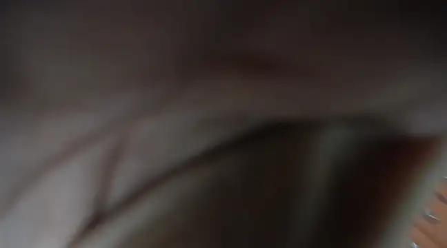 jazmin mature  online show from March 21, 2025, 12:06 pm