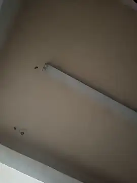 boyvergon online show from January 17, 2025, 6:36 am