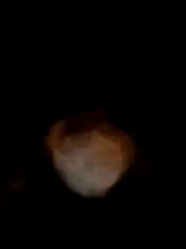 bobbuilder77pl online show from January 17, 2025, 11:07 pm