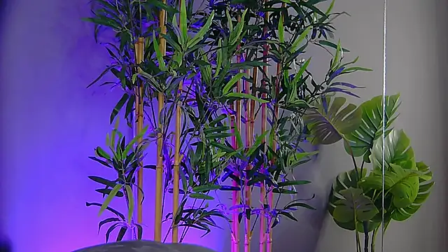 PatriciaSpice online show from November 9, 2025, 5:22 am