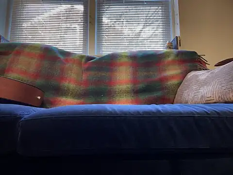 Prolapse Pig online show from February 4, 2025, 9:20 pm