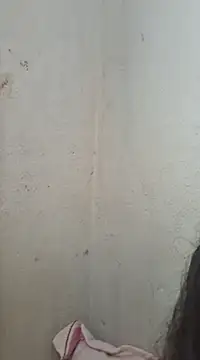 novinhatransexy online show from February 11, 2025, 6:01 pm