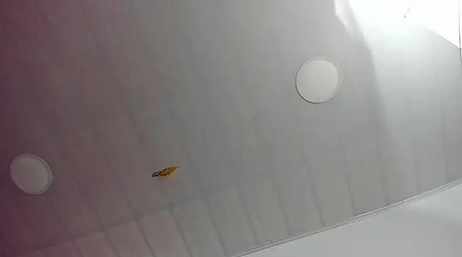 JennCarter  online show from February 3, 2025, 3:06 pm