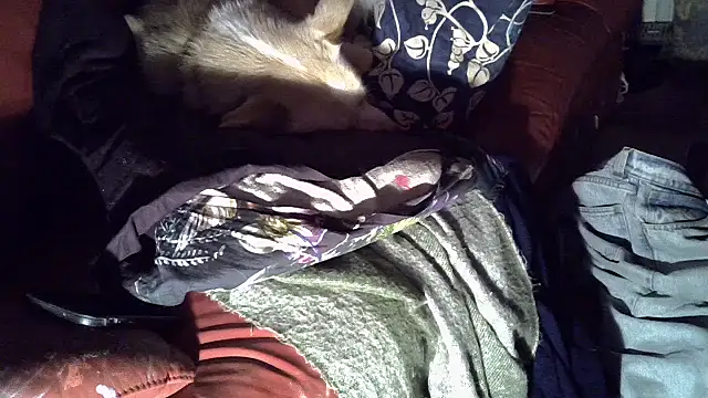 Snapshot of Damn_bro23 chatting on January 15, 2026, 12:47 am Damn bro23 online show from January 15, 2026, 12:47 am