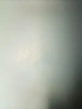 Snapshot of randit7 chatting on March 3, 2025, 9:24 am randit7 online show from March 3, 2025, 9:24 am