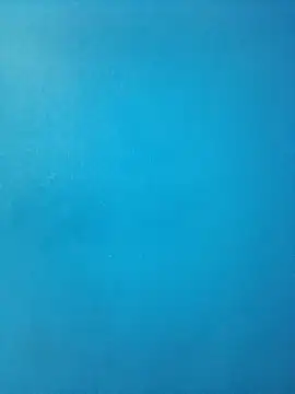 Snapshot of randit7 chatting on March 9, 2025, 4:55 pm randit7 online show from March 9, 2025, 4:55 pm