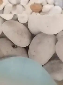 Playboy bhabhi 00 online show from February 27, 2025, 5:51 am