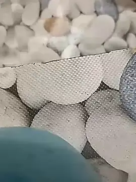 Playboy bhabhi 00 online show from February 14, 2025, 8:42 am