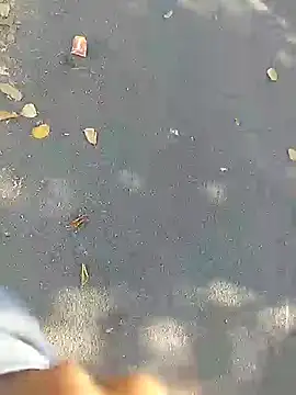 Playboy bhabhi 00 online show from February 27, 2025, 10:11 am