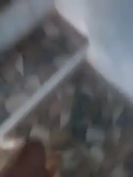 Playboy bhabhi 00 online show from March 18, 2025, 11:22 am