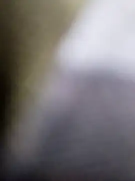 Playboy bhabhi 00 online show from February 24, 2025, 7:33 am