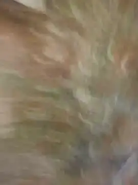 Santiago-Thompson online show from January 26, 2025, 8:23 pm