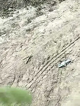 xmanrawan2 online show from March 12, 2025, 10:26 am