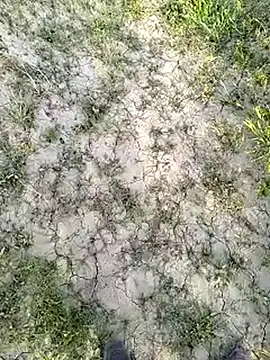 xmanrawan2 online show from March 14, 2025, 11:34 am