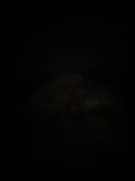 adelin20 online show from November 19, 2025, 6:19 pm