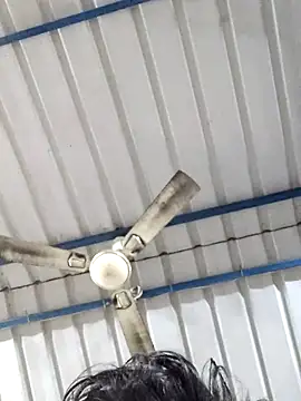 birds0641 online show from February 25, 2025, 5:52 am