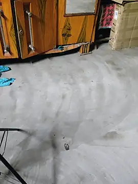 birds0641 online show from April 27, 2026, 6:17 pm