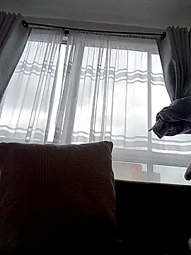 bri ali online show from March 8, 2025, 6:05 pm