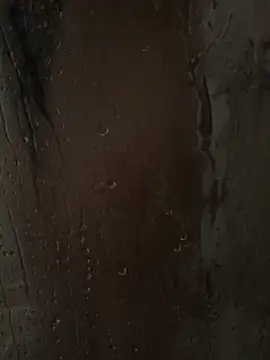 RussNocturnal online show from March 1, 2025, 7:41 am