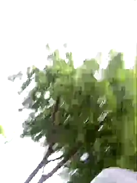 arevalo1124 online show from November 26, 2025, 9:26 pm