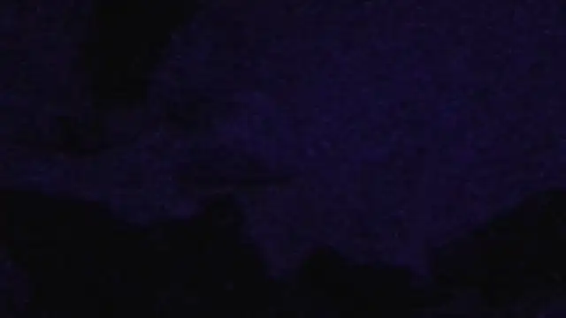 cruz815 online show from September 20, 2025, 11:04 am