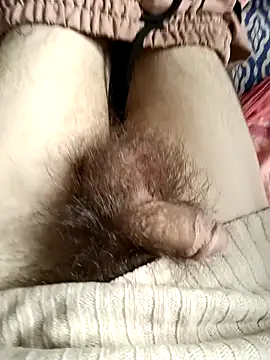 LustHaven-Sigma online show from February 6, 2025, 1:49 am