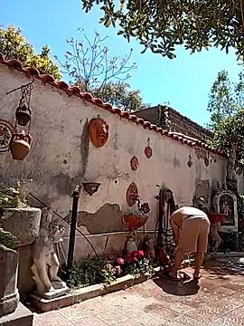 Snapshot of NAvoglia chatting on May 2, 2026, 12:43 pm NAvoglia online show from May 2, 2026, 12:43 pm