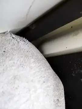 Snapshot of dominationmybigdick chatting on October 10, 2025, 10:38 am dominationmybigdick online show from October 10, 2025, 10:38 am