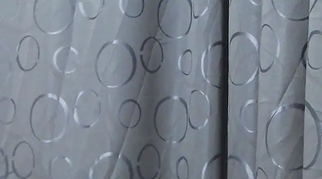 pilara online show from February 20, 2025, 7:55 am