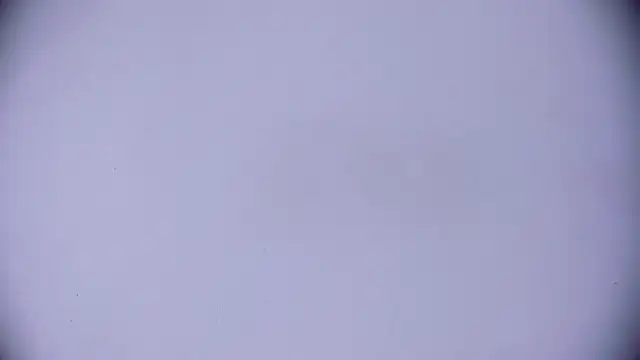 Ashlyaurora online show from March 20, 2025, 7:58 am