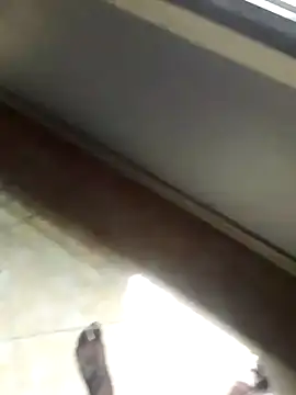 Snapshot of BigD634 chatting on February 10, 2025, 11:46 am BigD634 online show from February 10, 2025, 11:46 am