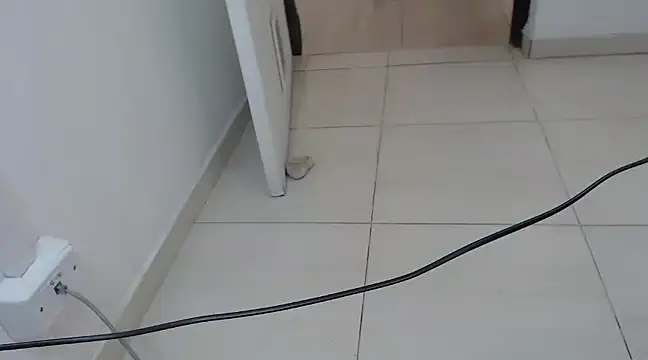 StormyWets Bluk online show from March 11, 2025, 7:36 pm