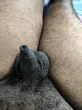 Tamil small cock online show from October 3, 2025, 9:33 am