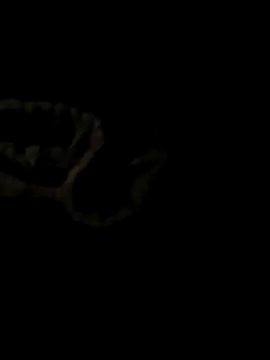 ShysluutGia online show from October 21, 2025, 9:25 pm