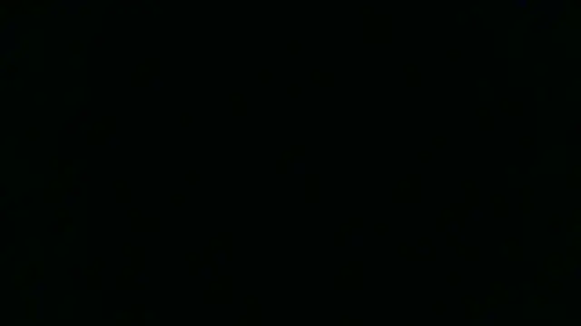 Brian Stars online show from February 22, 2025, 3:36 pm