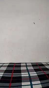 Snapshot of Dalou3a-69 chatting on March 18, 2025, 11:11 am Dalou3a-69 online show from March 18, 2025, 11:11 am