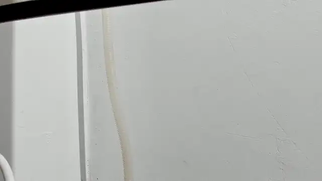 Aleshkastone online show from January 11, 2026, 3:41 pm