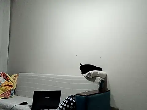 BellBort online show from March 3, 2026, 7:43 pm