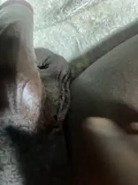 BlaccZhakky online show from January 14, 2026, 1:04 pm