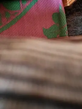 Snapshot of cocktony chatting on January 13, 2026, 9:35 am cocktony online show from January 13, 2026, 9:35 am