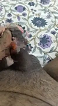 desi pb02 online show from November 6, 2025, 4:16 am