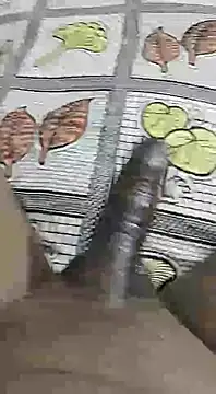 desi pb02 online show from September 14, 2025, 9:09 am