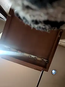 QueenM3 online show from March 11, 2025, 12:44 am